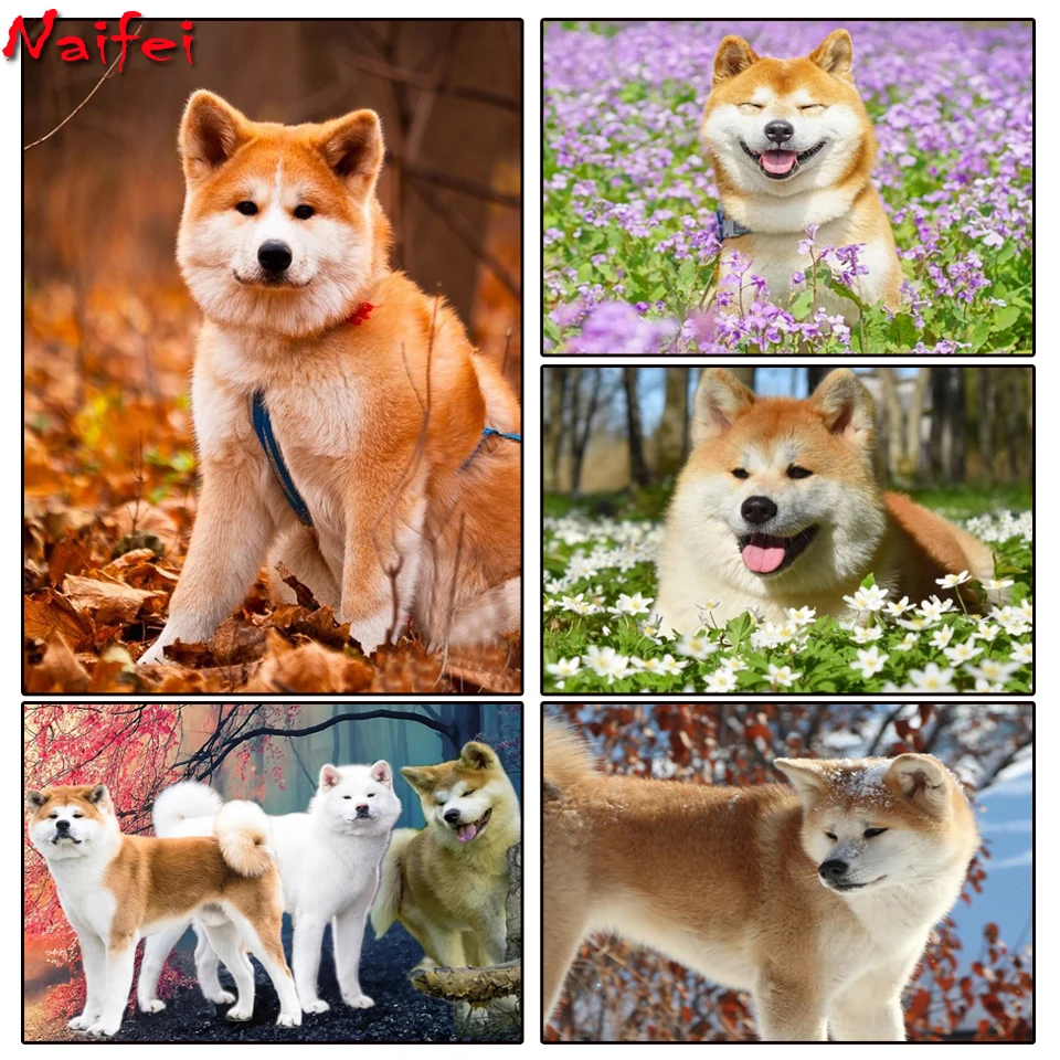 

Shiba Inu Diamond Painting Japanese Akita dog Diamond embroidery picture of rhinestone cross stitch Diamond Mosaic home decor