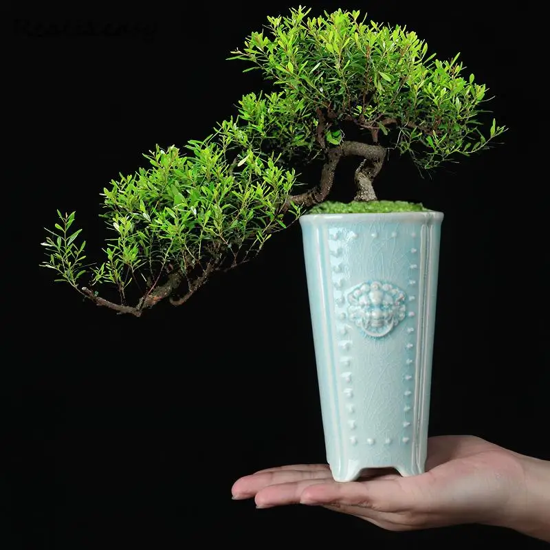Creative Chinese Ceramic Flower Pot Handmade Cracking High Flower Pot Household Orchid Bonsai Pot Decorative Flower Pot LE142