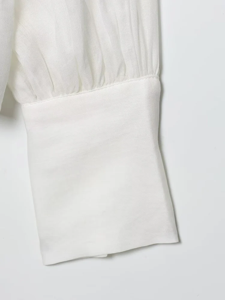 Europese en Amerikaanse stijl herfst nieuwe dameskleding 2025, modieus topshirt met opstaande kraag en lantaarn met lange mouwen