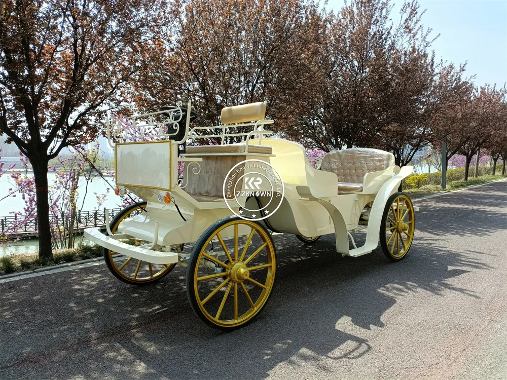 Двухрядные экскурсионные коляски в европейском стиле электрические Свадебные королевские коляски для продажи