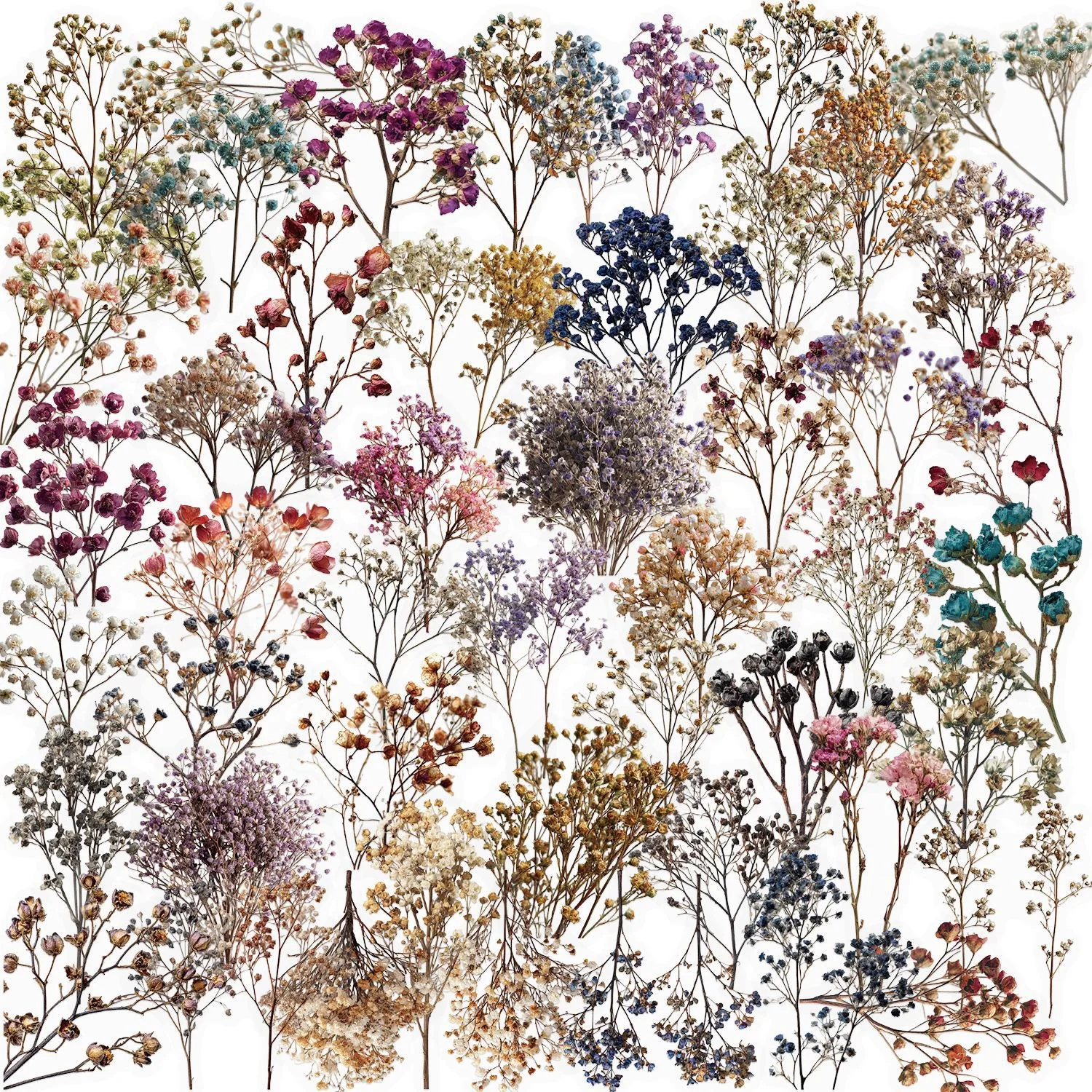 Autocollants en PET pour collection de fleurs séchées, matériel décoratif fait à la main pour Scrapbooking, matériel artisanal pour Album de journal, 50 pièces