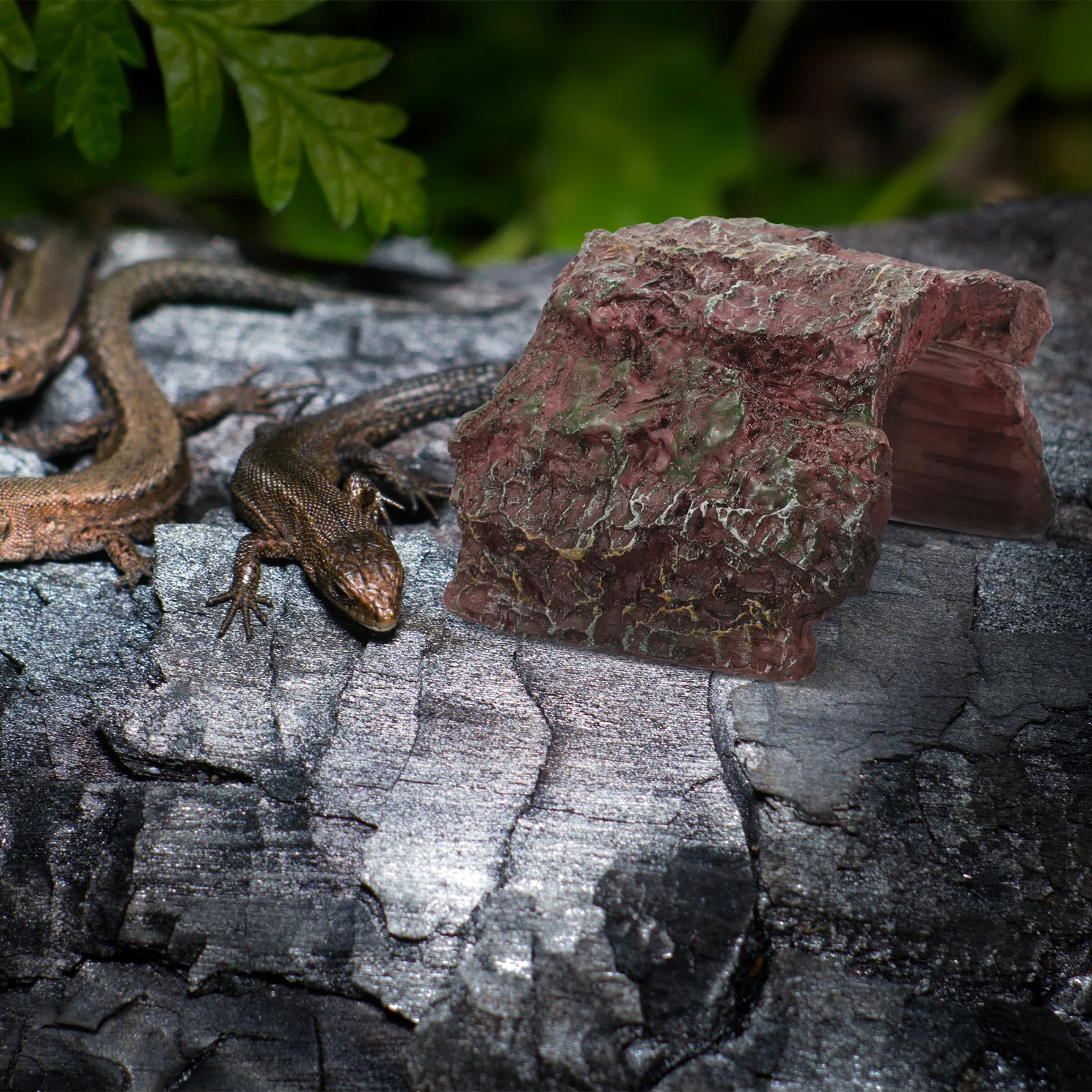 

Reptile Cave Resin Turtle Hideout Basking Platform for Aquatic Turtles Frogs Lizards Reptile Habitat Decor Shelter