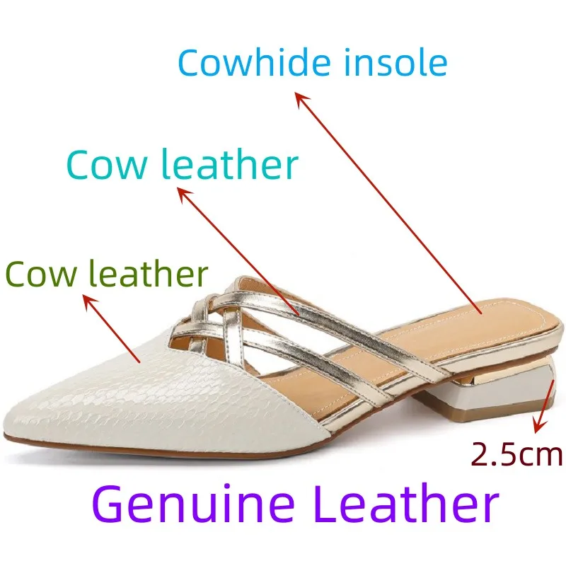 【JOCHEBED Hu】Summer Women Brand Genuine Leather Mules Shoes for Pointed Toe Slippers Chunky Heel Cover 34-40