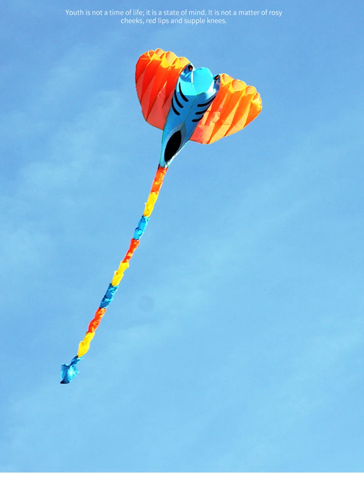 Ray vliegeren opblaasbare vlieger buitenspeelgoed zachte vliegers sport vliegers wiel volwassenen vlieger professionele wind vliegers fabriek weifang