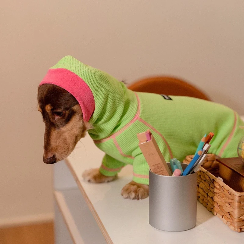 

Дышащее пальто для собак таксы, мягкий комбинезон для собак-бассеров, вафельная одежда для таксы, пуловер, рубашка Four Seasons с четырьмя днами