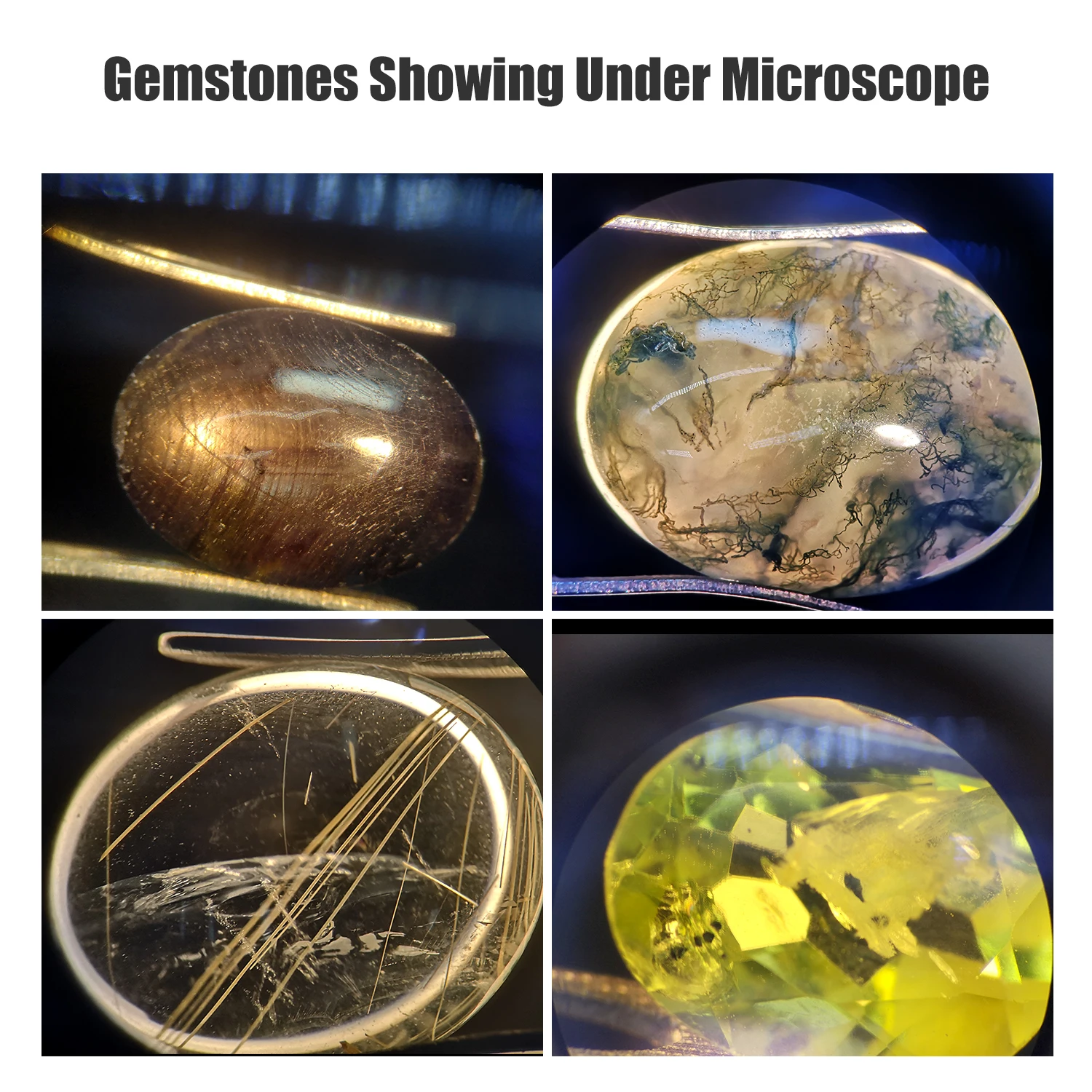 Fable 10W Modalità di illuminazione Braccio oscillante ottico 7.5-50X BINOCOLARE Gem Microscopio FGM-R6S-171 Per l'osservazione