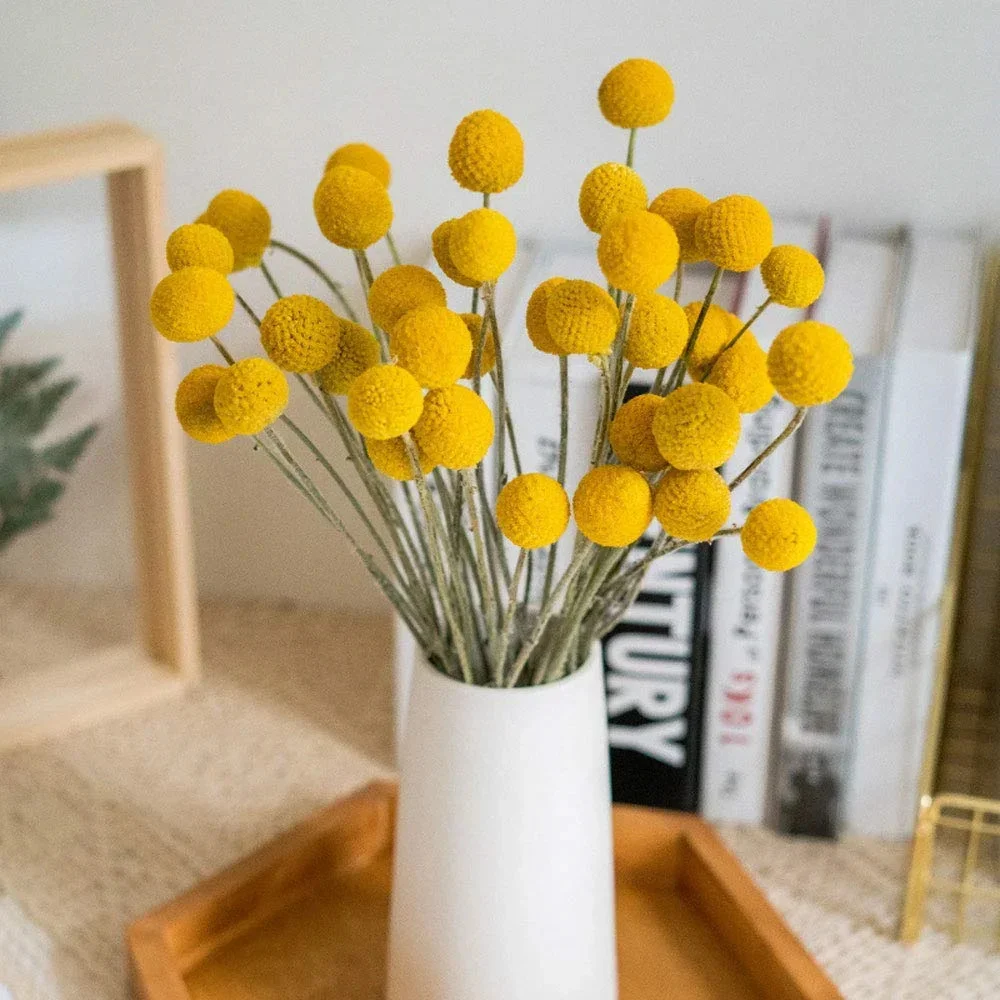 Thumbnail 4 - #12 Top Dried Flowers Picks for Every Budget