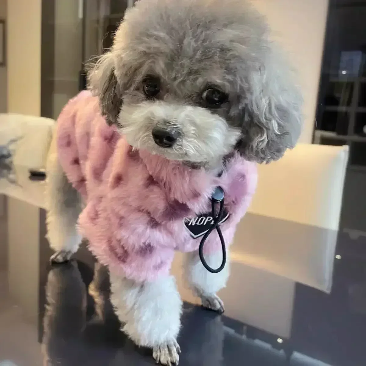 Dog Clothes Autumn and Winter Thickened Winter Warmth Schnauzer Fa Dou Bi Xiong Teddy Small and Medium Dog Fur Coat