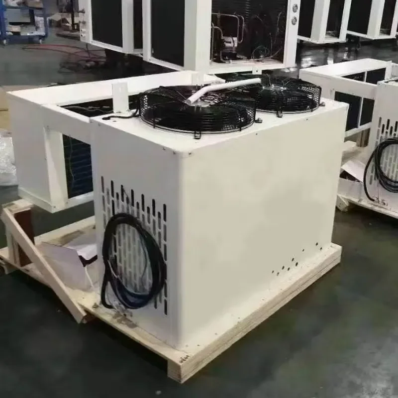 Monoblock Cooling Unit for Cold Room Freezer Air Cooled Refrigeration System Energy Saving Motor Stainless Steel Construction