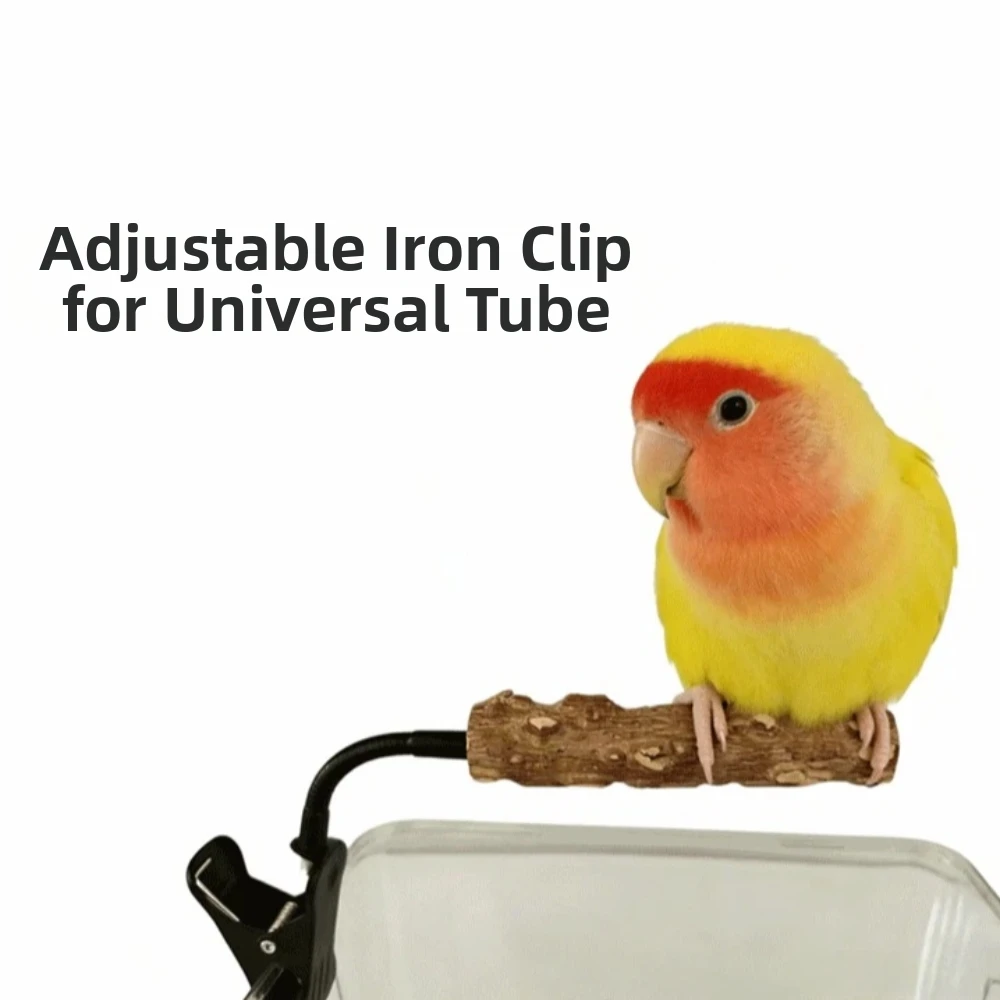 Thumbnail 2 - #18 Trending Bird Perch Stands Right Now