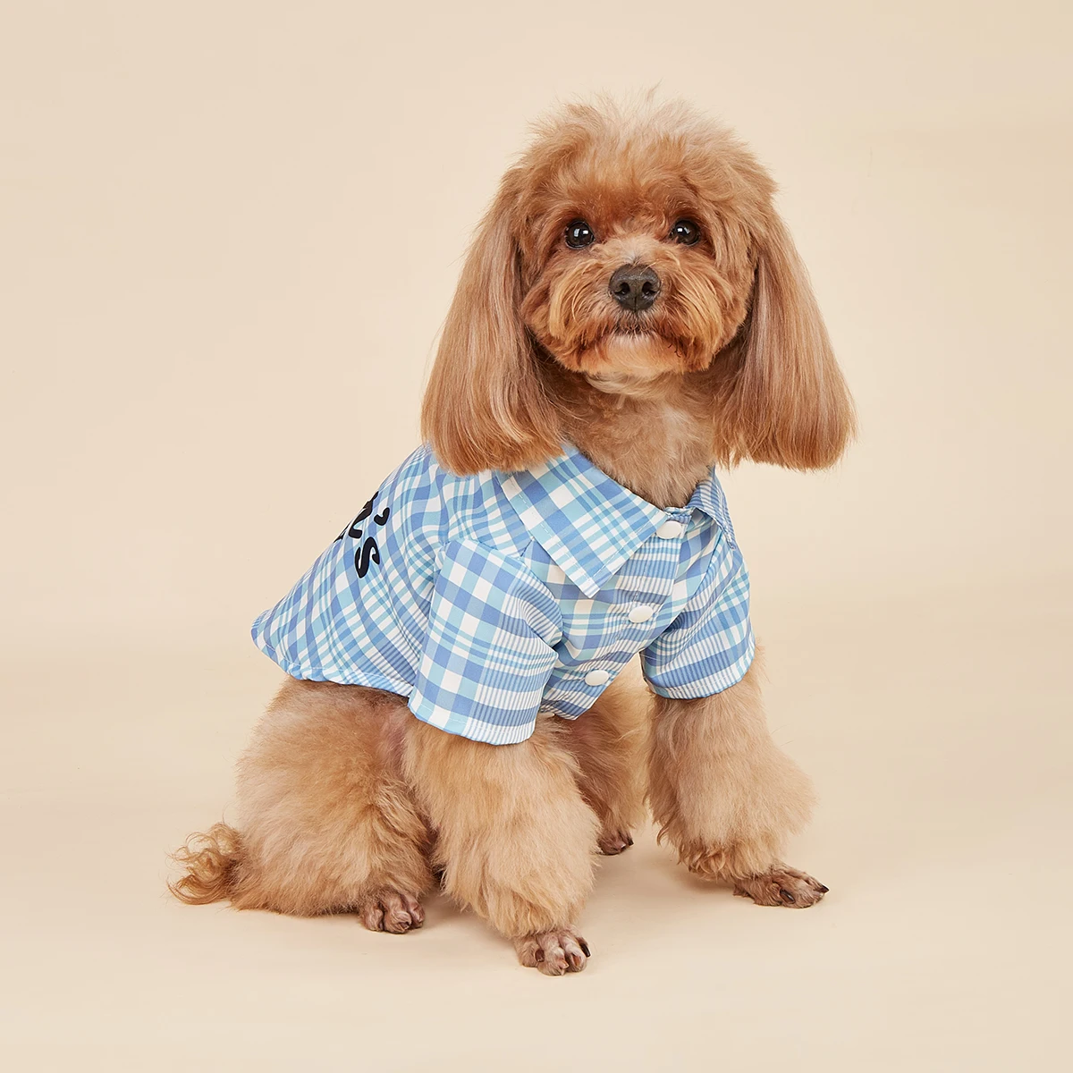 Dog Father's Day Letter Print Tank Top Blue Plaid Mesh  Dog Vest Cat Dog Puppy Tee Shirts Clothes for Small Dogs Kitten Kitty