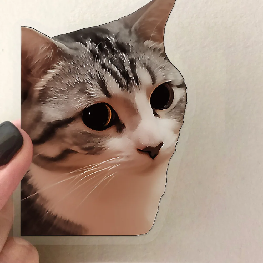 10/50 قطعة خمر مضحك لطيف القط ملصقات ميمي الحيوان ملصق شفاف للهاتف الكمبيوتر المحمول القرطاسية DIY بها بنفسك اللعب سر