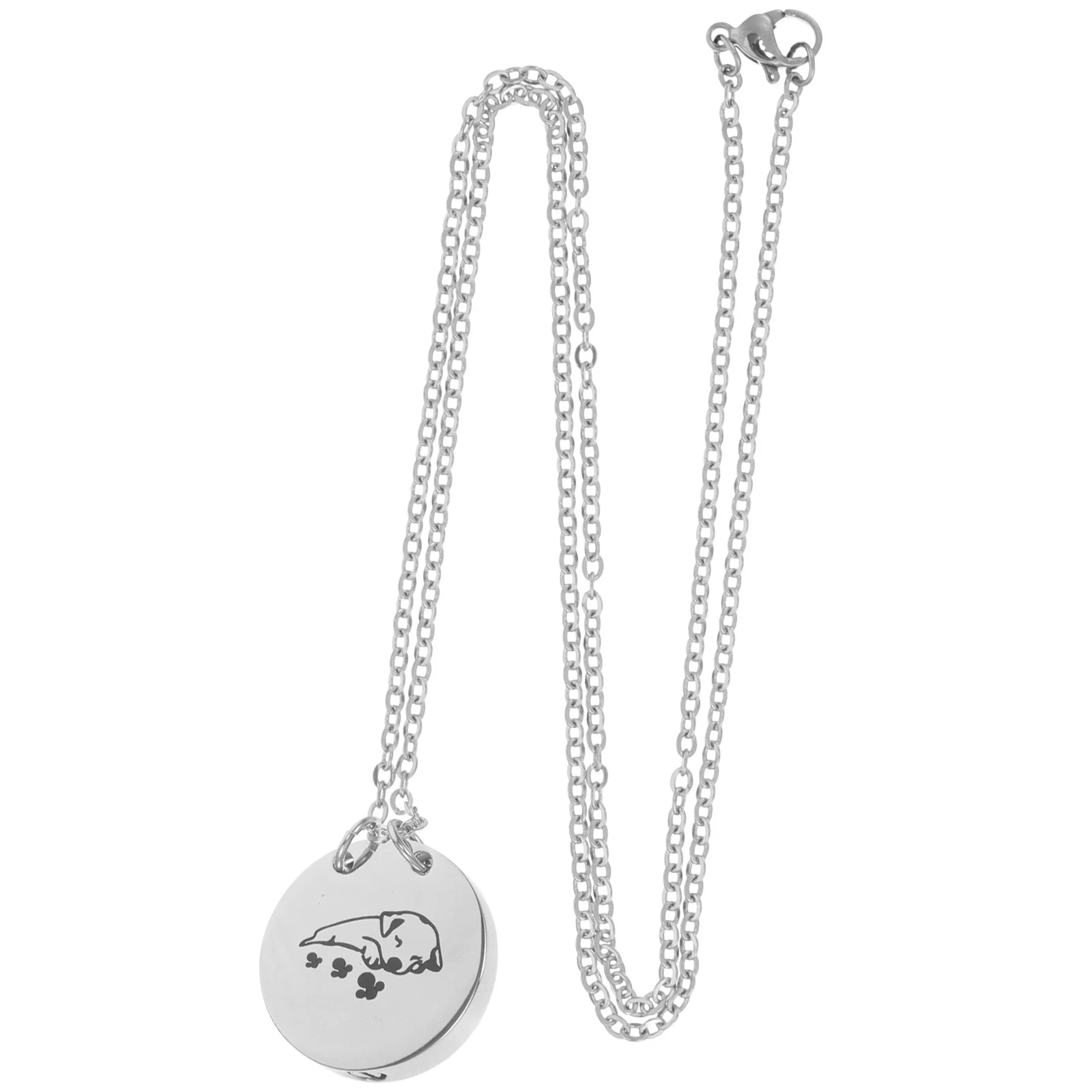 

Small Pet Urn Necklace Wear-Resistant Stainless Steel Cremation Memorial Necklace for Ashes Keepsake Pendant Jewelry