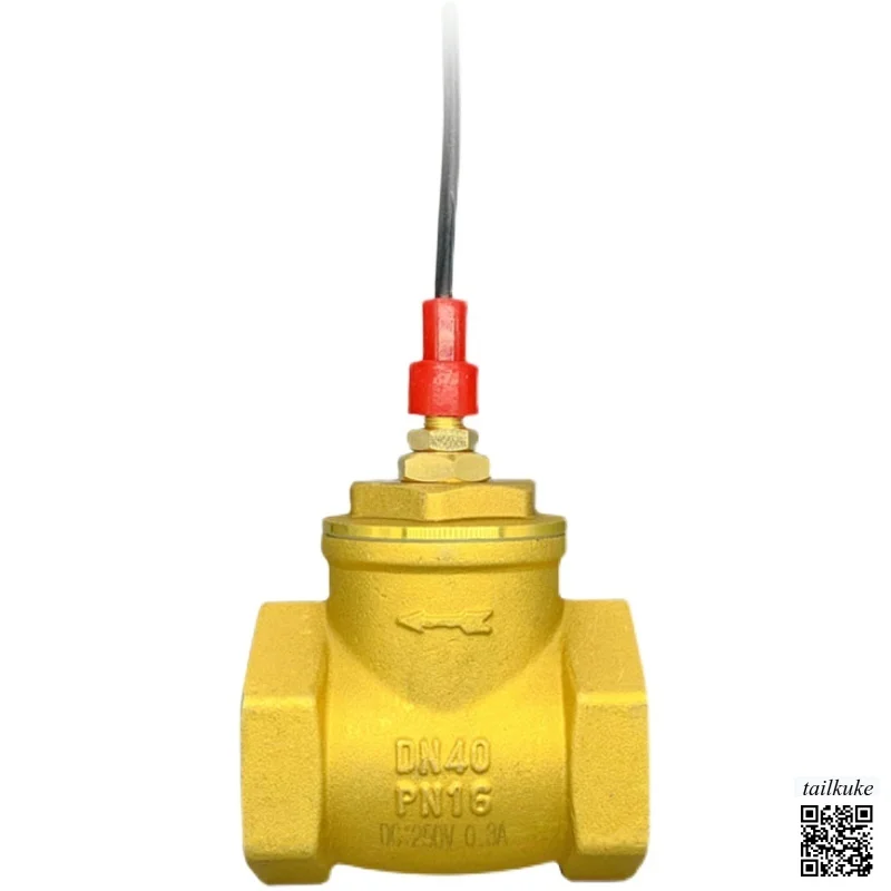 Air Energy High Flow All Copper One-way Valve Baffle Plate Water Flow Induction Signal Flow Switch 4/6-point 1 Inch
