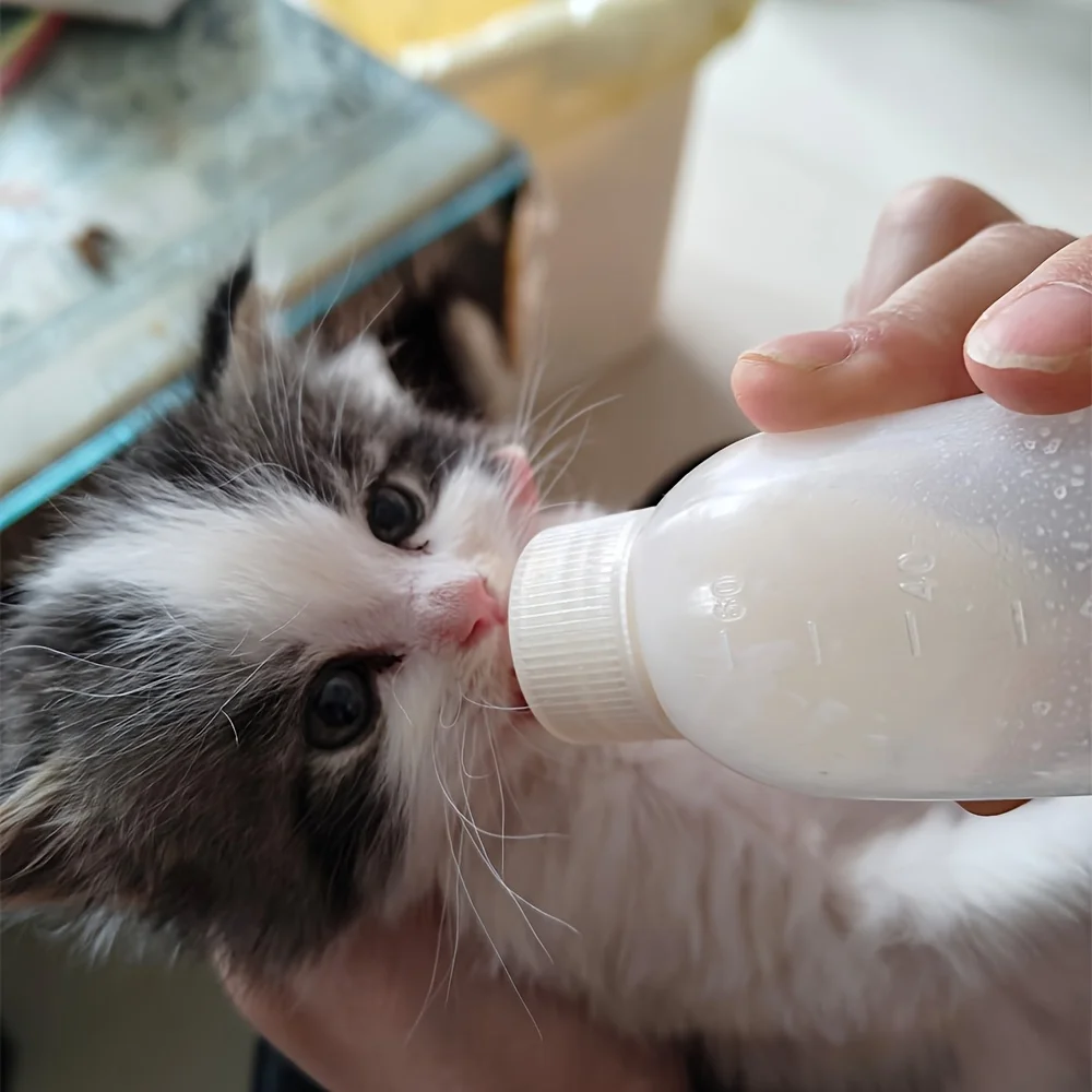 Flaschenset für die Tierpflege mit Silikonnippeln in 3 Größen, Anti-Verschluck-Futterspender für neugeborene Kätzchen, Welpen, Kaninchen, kleine Tiere – Detail 7