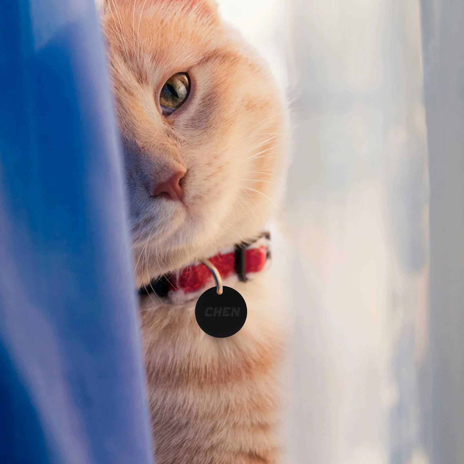 25Pcs Round Aluminu…