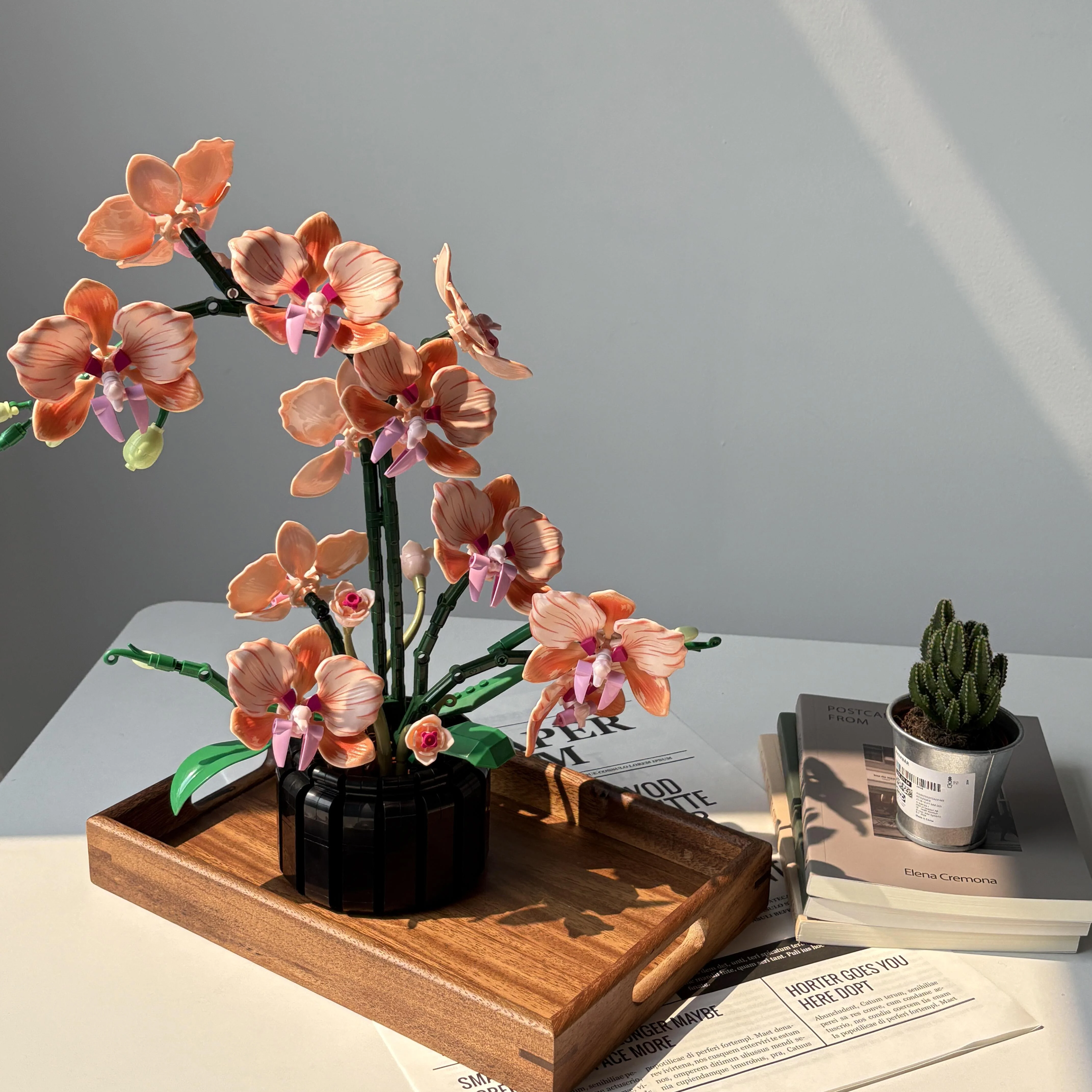 Orange Phalaenopsis Orchid Bui - Orchid Phalaenopsis recension och pris