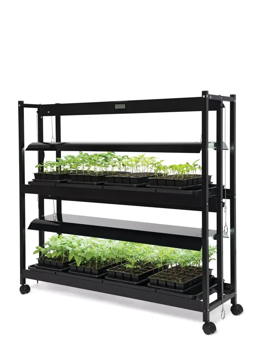 Smart home products for growing vegetables in modern households