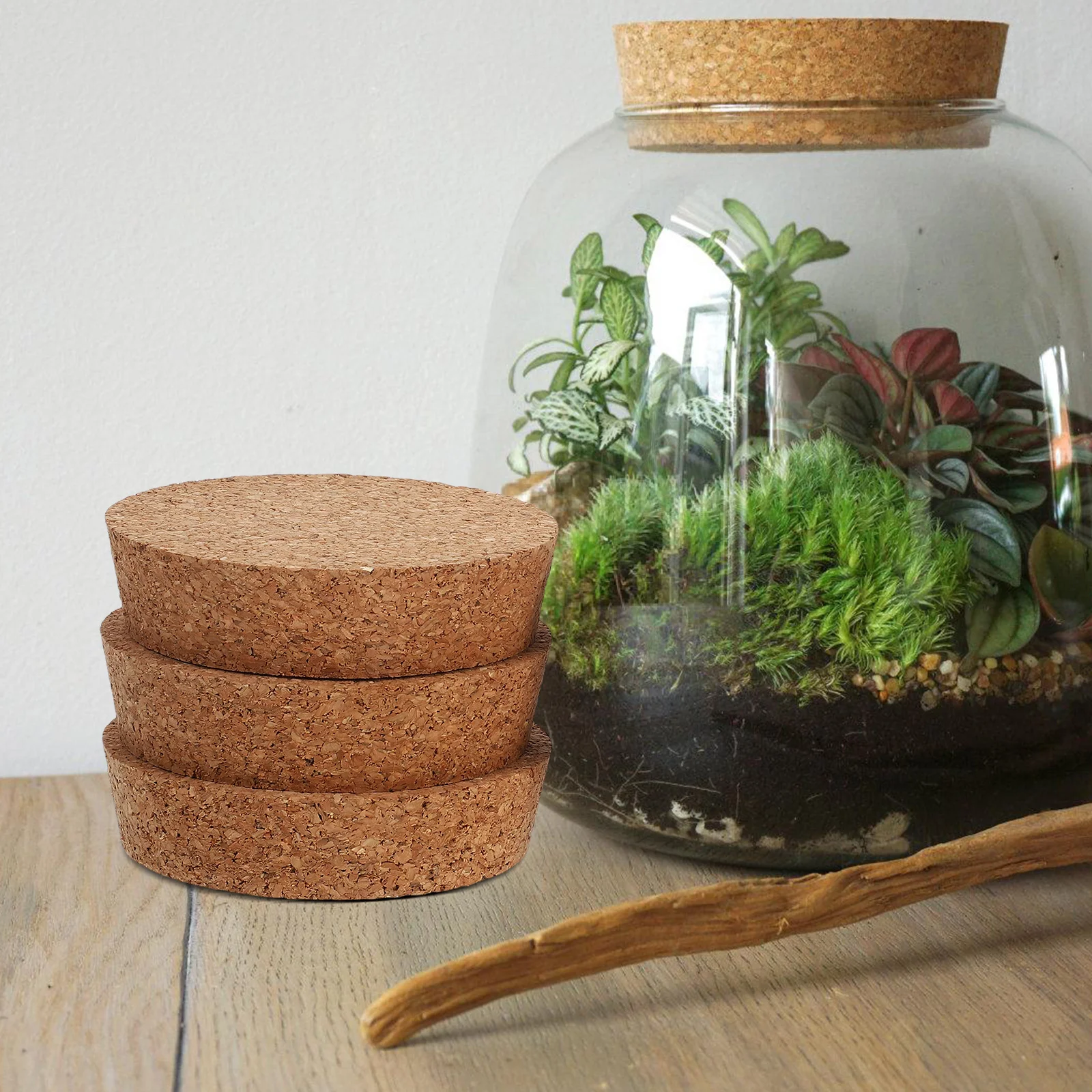 6 Stück Pflanzenkorken-Deckel, Dichtung für Glas, Hydrokultur, Blumenvasen, Einmachglas, Stopper, Terrarium, Landschaft, 80 x 20 x 73 mm