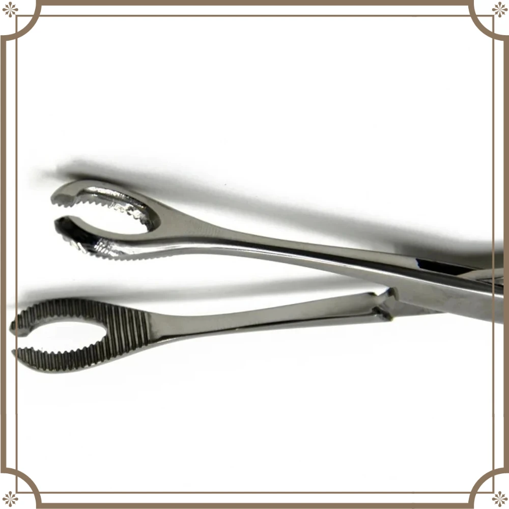 25cm Straight Sponge Forceps Serrated Jaws Stainless Steel Surgical Holding Clamp for Medical Use.