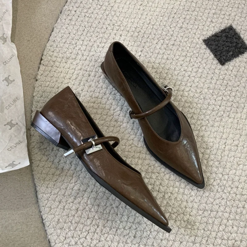 

French Pointed Toe Thick Low Heel Single Shoes Women's Spring 2025 New Buckle Mary Janes Shoes Slip-On Rubber Upgraded Version