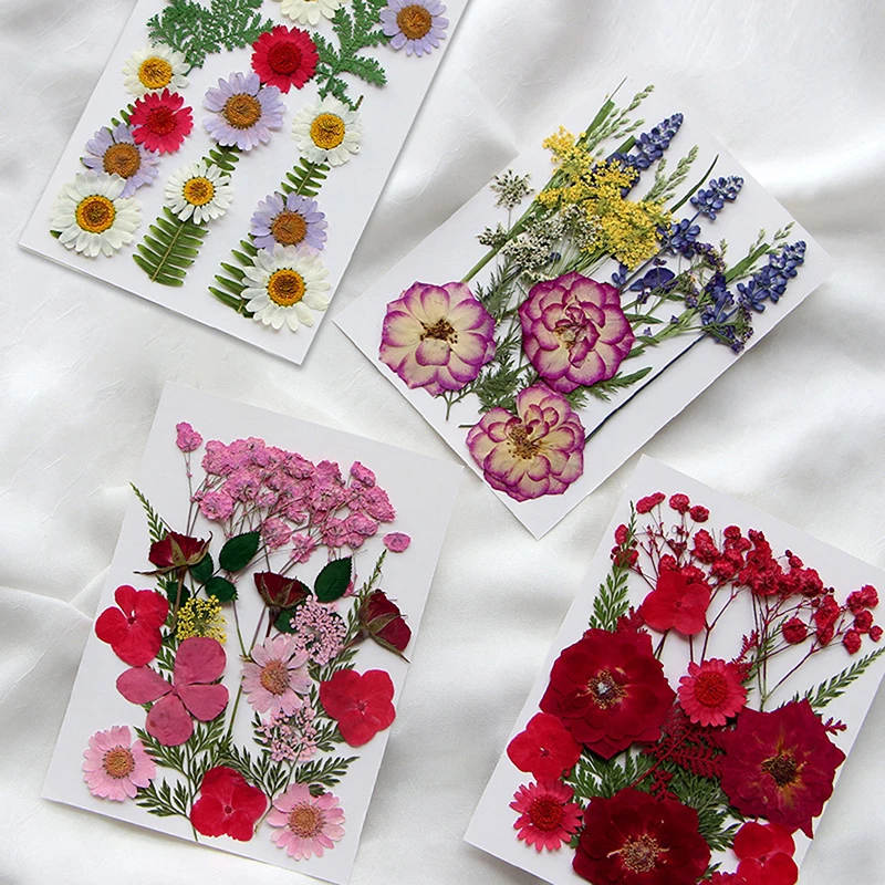 Dried Flowers Real Natural Plant Pressed Flower For Epoxy Resin Filling DIY Nail Art Handicrafts Jewelry Making Craft