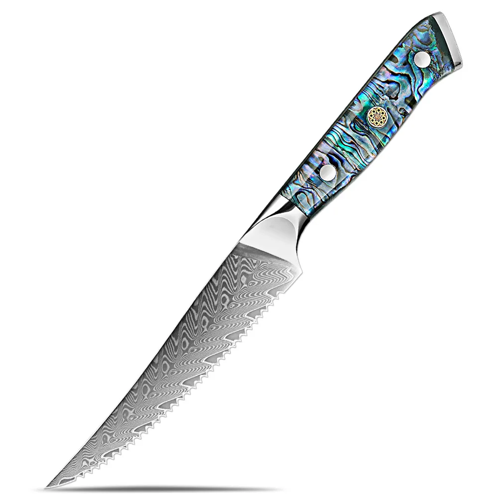 5inch 67Layer Damascus Steel Steak Knife Sharp Blade Abalone Shell Resin Handle Restaurant Beef Slicing Butter Cutting Knives
