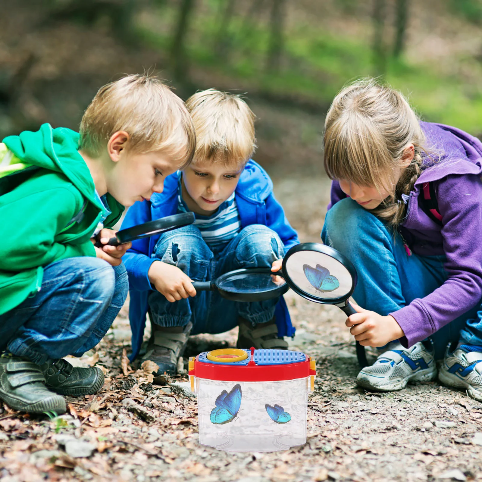 Fangen Sie den Ball Insekten beobachtungs box Kind Kinderspiel zeug Outdoor-Spielset Acryl käfig