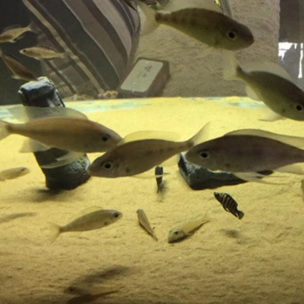 

Xl Size Resin Figure Aquarium Ornament Craft Fish Tank Decor Safe for Resin Figure for Aquarium