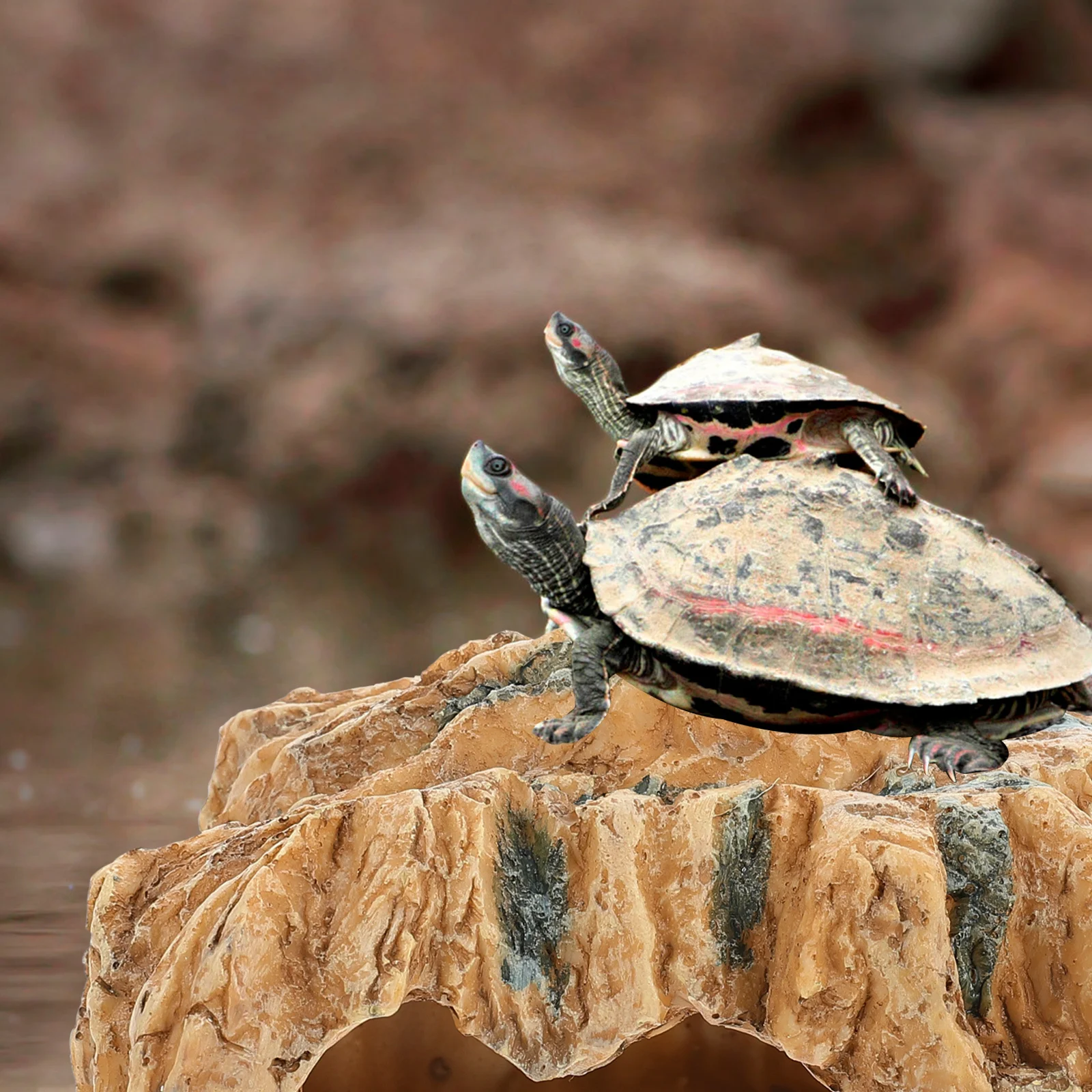 

Pet Habitat Reptile Climbing Cave Resin Turtle Tanning Shelter For Spider Crab Geckos Fish Tank Aquatic Landscape Ornament