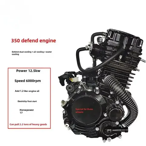 350cc 300cc 250cc 200cc Dede 4-Stroke Water-Cooled Motorcycle Tricycle Engine with Electric & Kick Start 1 Cylinder CDI Ignition