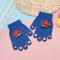 Blue ladybird