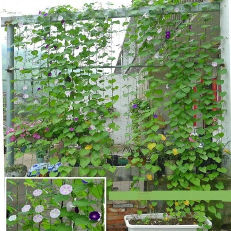 Climbing Netting  Garden Strong Nylon Plant Trellis For Climbing Plants Loofah Morning Glory Flowers Cucumber Vine