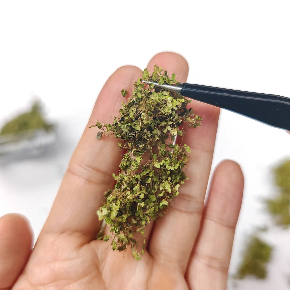 Natural Dried Moss Miniature S - Preserved Moss Sheet recension och pris