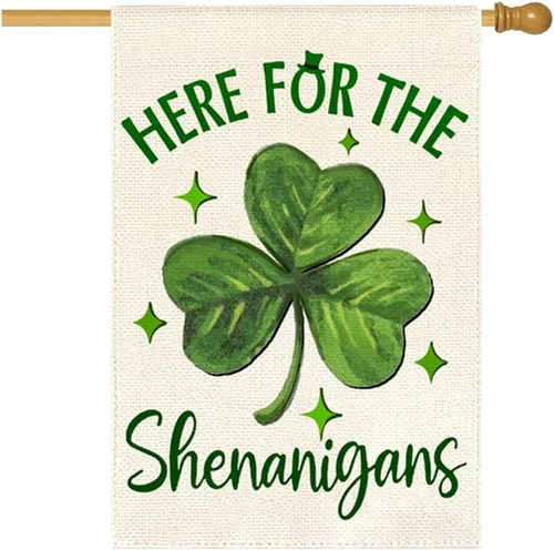 St Patricks Day House Flag 28X40 Inch Double Sided Outside, Here for the Shenani 7445052016044 AAV hhz