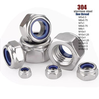Fine Thread Pitch 0.5~1.5mm M5 M6 M7 M8 M10 M12 M14 M16 304 Stainless Steel Nylon Insert Lock Nut Hexagon Self-locking Locknut