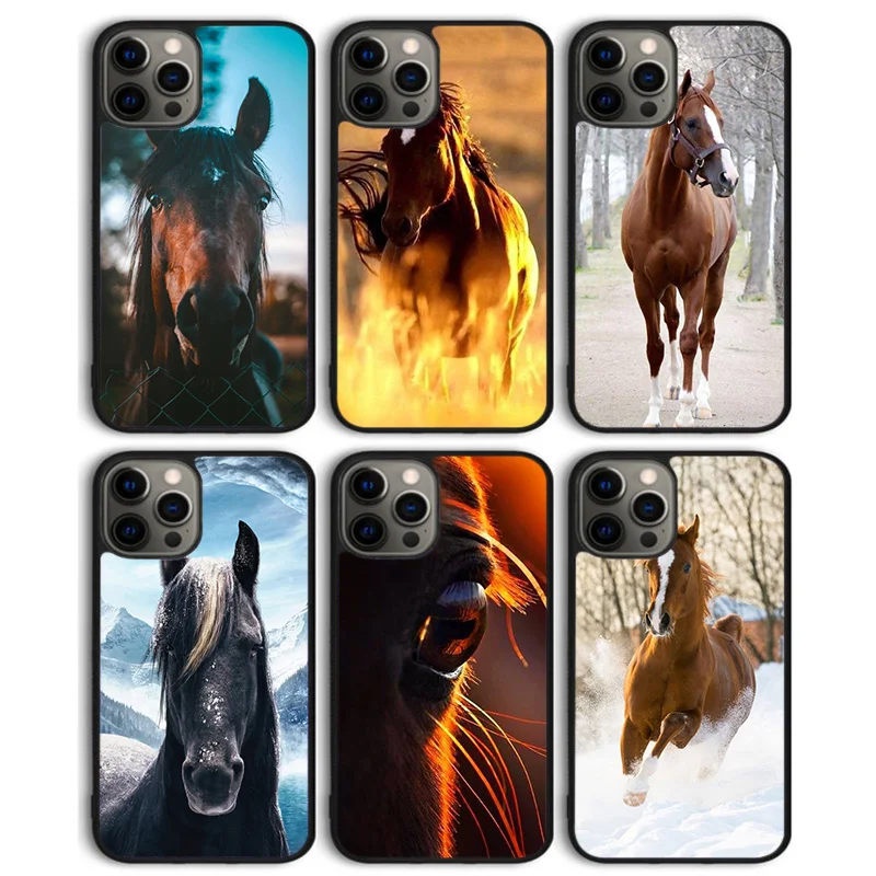 Frederik The Great beauty horse Phone Case Cover for iPhone 16 15 SE2020 14 13 11 12 Pro Max mini XS XR X PlusS Shell Coque