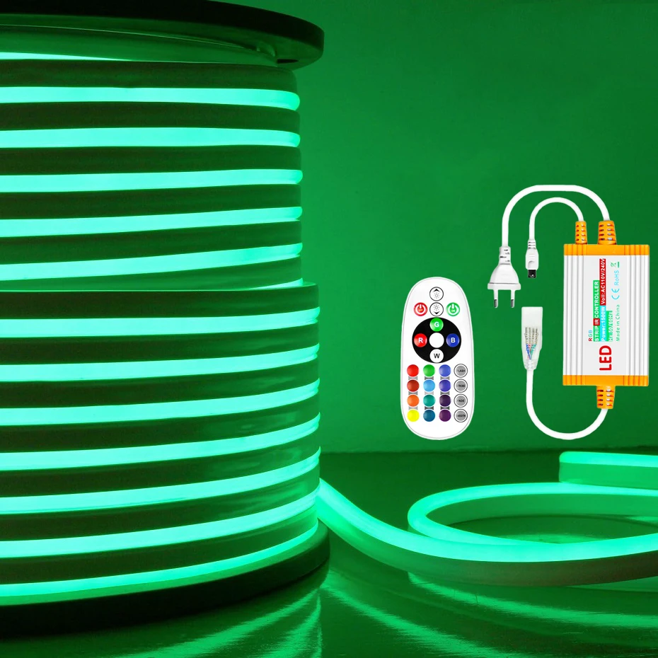 100M 50M 30M 10M 220V RGB LED Neon Strip Light Dimmable RGB Tape IR Remote Control Flexible Ribbon Waterproof Outdoor Lighting