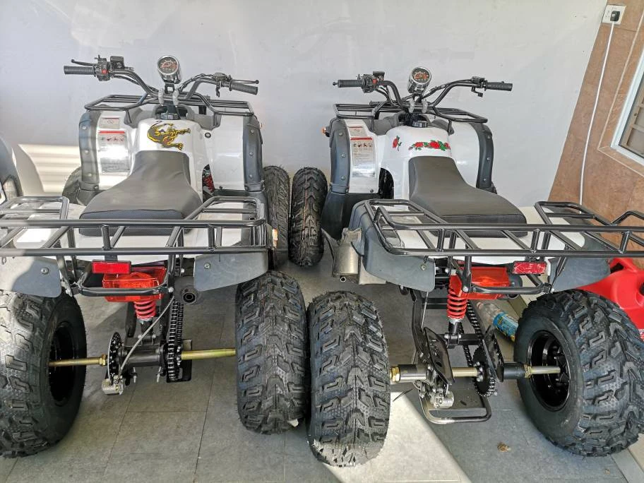 Neuankömmling Erwachsenen Benzin ATV gasbetrieb ene ATVs Farm Utv 125cc ATV