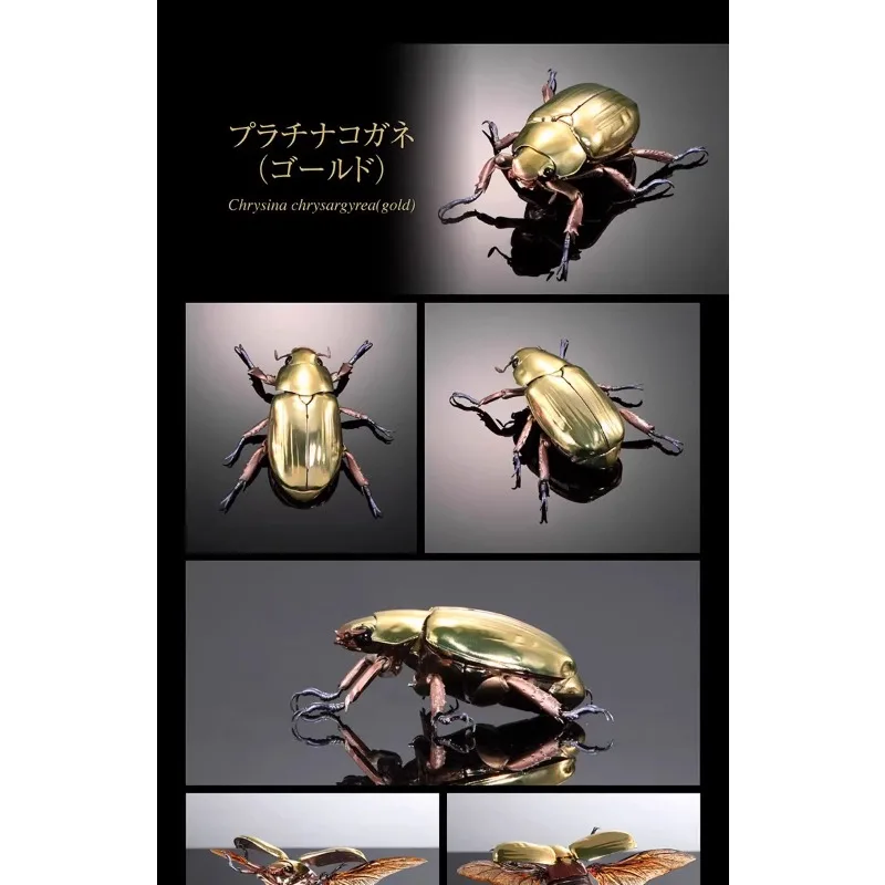 Tortoise Beetle Gashapon Biology Illustrated Simulation Insect Model Collection New Gifts