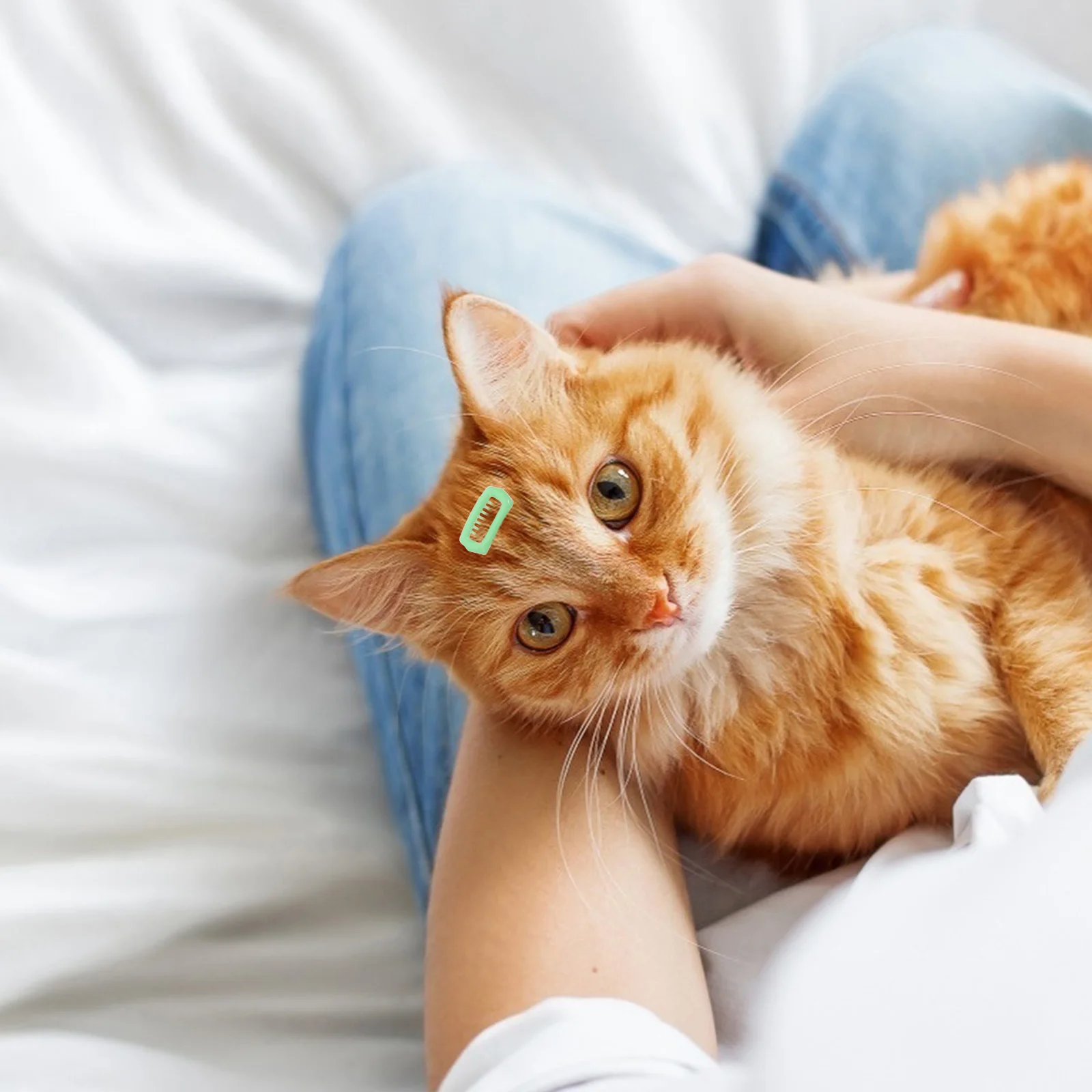 

5Pcs Pet Grooming Hair Clips Dog Clips Small Decorative Barrettes for Cats Puppies Small Dogs Maltese Poodle