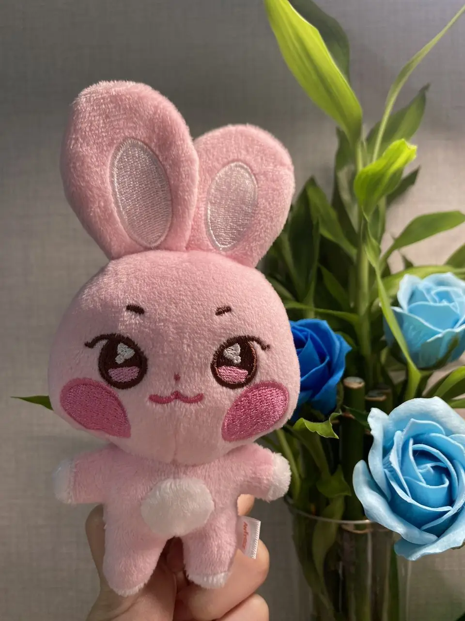 10CM Pop-up Store Puppe Schlüsselanhänger ANITEEZ Cartoon Niedlicher Plüsch Anhänger Schlüsselanhänger Tasche Zubehör Kpop Yunho Yeosang Fans Geschenke