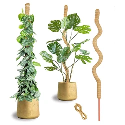 Bâton de fibre de coco pour la modélisation de plantes, tige de vigne grimpante, tige de mousse, plante en pot de fleur d'intérieur, pleine longueur, 114cm, bricolage