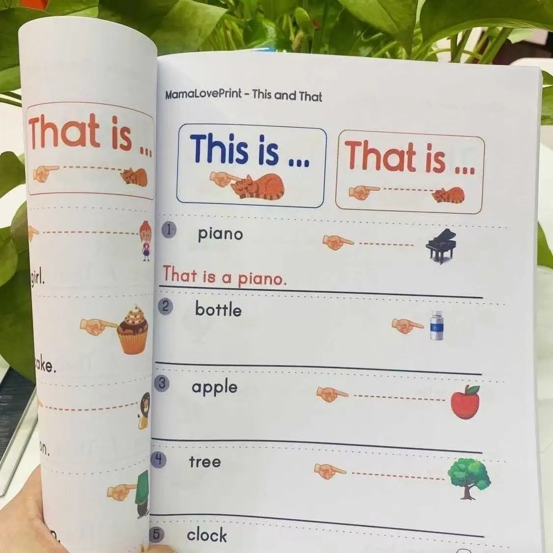 Preschool English Grammar Workbook:Basic Tracing & Handwriting Practice for Youngsters