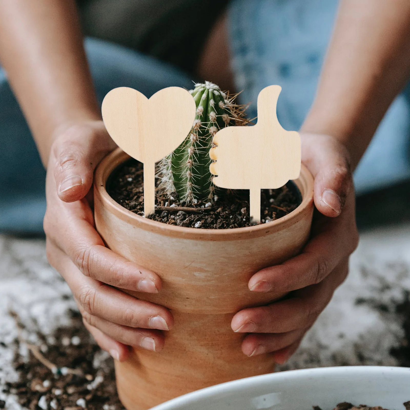 

12Pcs Wooden Plant Labels Natural Firm Garden Stakes for Plants Flowers Labels Decorative Flower Bed Inserts Gardening Supplies