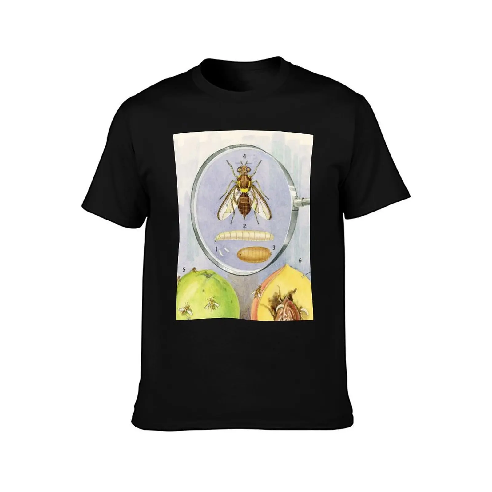 Queensland Fruit Fly T-Shirt blue archive shirts graphic fitted t shirts for men