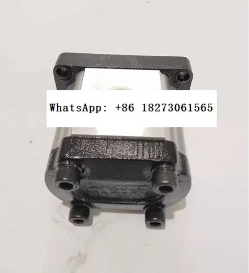 

Hydraulic Gear Pump SDH CBTt-F304 306 310 314 316 320 325F3P7