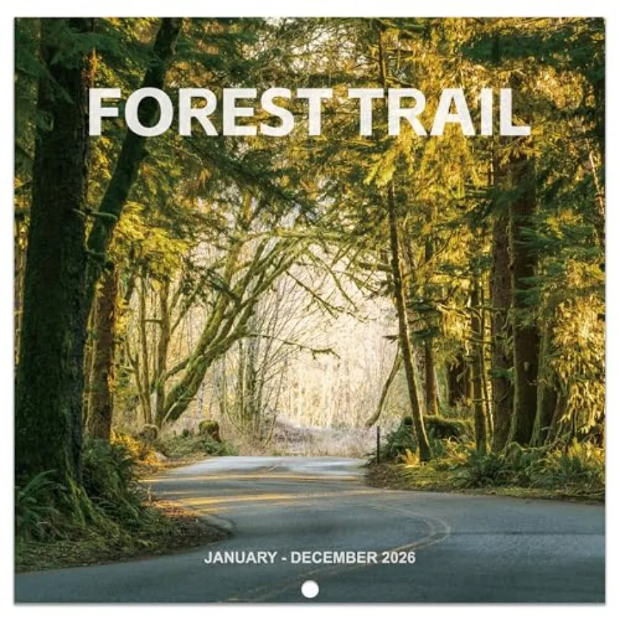 

2026 Calendar - 2026 Wall Calendar 12 months from Jan. 2026 - Dec. 2026 12" x 24" Open Scenic Path Wall Calendars 2026 with Thi