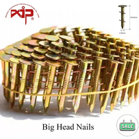 Coil Roofing Nails 15 Degree Electric Galvanized Round Big Head Wire Weld Collated Roofing Cap Nail for Upholstery Roof Chiodini