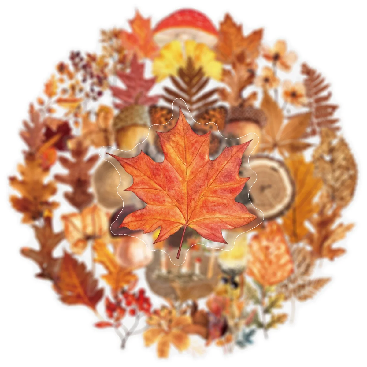 50 Pcs Literary Retro Maple Leaf Foliage Dry Flower Pet Transparent Waterproof Diy Journal Luggage Stickers